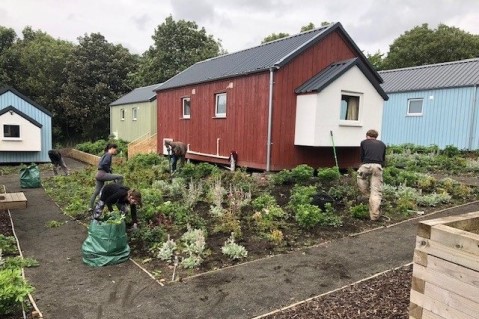 Gardening at the Social Bite Village